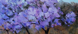Jacaranda | 2020 | Oil on Canvas | 34 x 48 cm